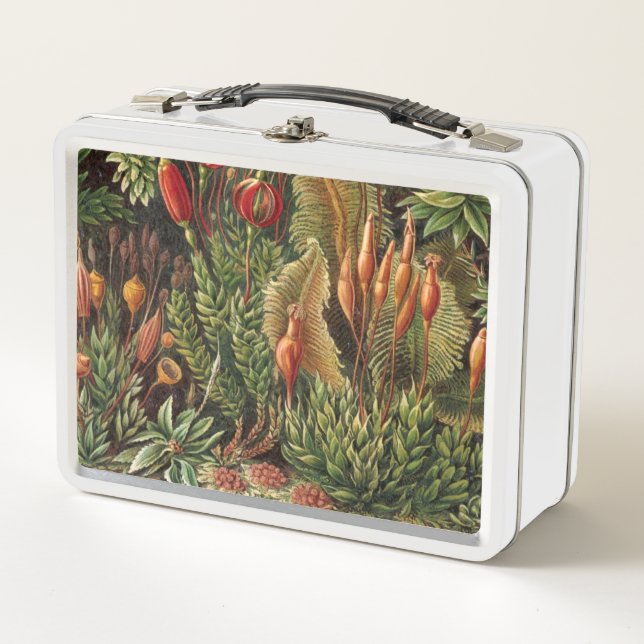 Lunch Box Flore Vintage (Devant)