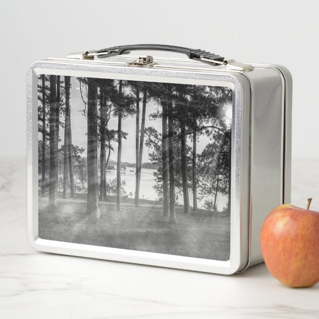 Lunch Box Foggy Arbres À Niveaux De Gris De Table Rock (En situation)