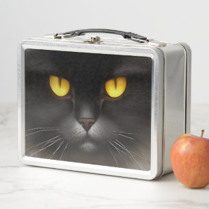 Lunch Box Funny Fluffeux noir Perse noir chaton visage