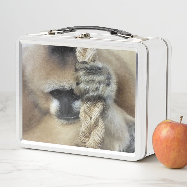 LUNCH BOX GIBBON (En situation)