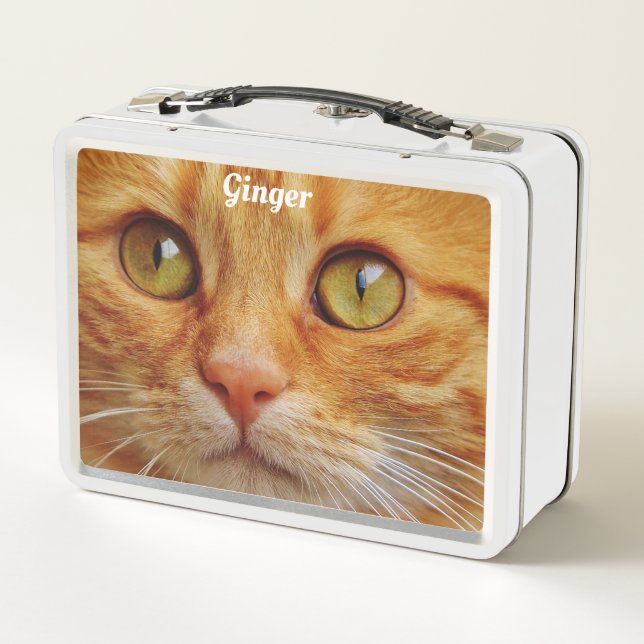 Lunch Box Ginger Cat (Dos)