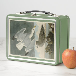 Lunch Box Goéland argenté des oiseaux américains de John Aud