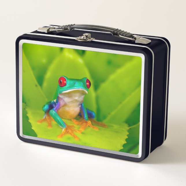 Lunch Box Grenouille aux yeux rouges, Costa Rica (Devant)