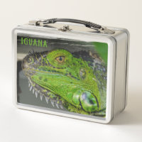 Gros plan photographique d'iguane vert Lézard