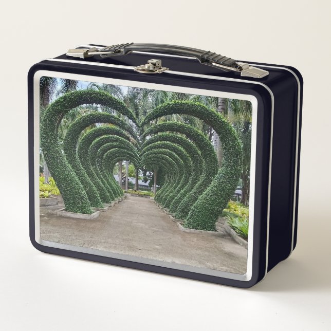 Lunch Box Haie en forme de coeur (Devant)