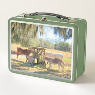 Lunch Box Heure du déjeuner des chevaux et des ânes