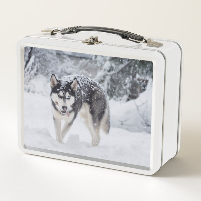 Lunch Box Husky dans la neige (Devant)