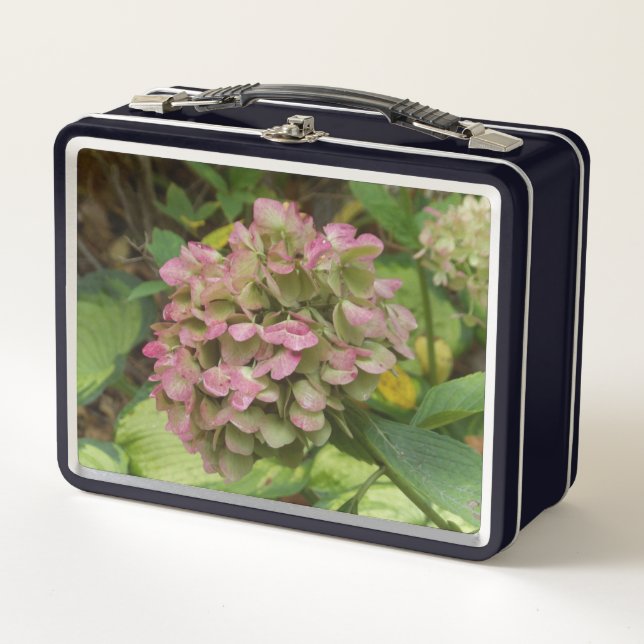 Lunch Box Hydrangea d'automne en fleurs avec feuilles d'host (Devant)