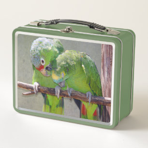 Lunch Box Inséparables