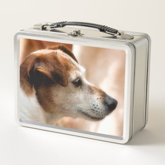 LUNCH BOX JACK RUSSELL TERRIER CHIEN (Devant)