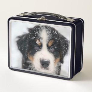 Lunch Box Joli chiot