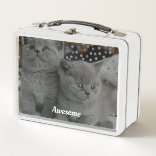 Lunch Box Jolis chats gris