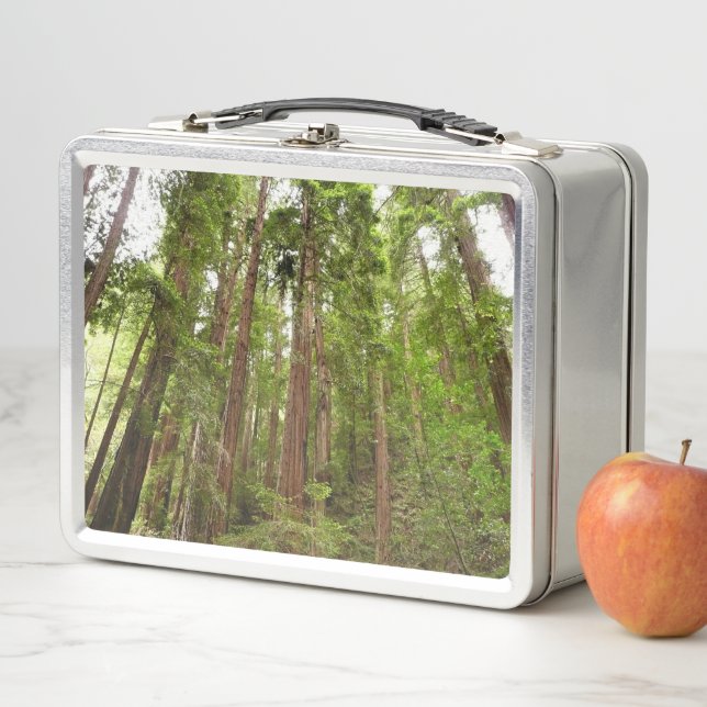 Lunch Box Jusqu'à Redwoods I au monument national de Muir Wo (En situation)