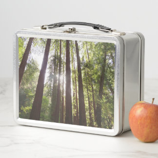 Lunch Box Jusqu'aux Séquoias le Matin