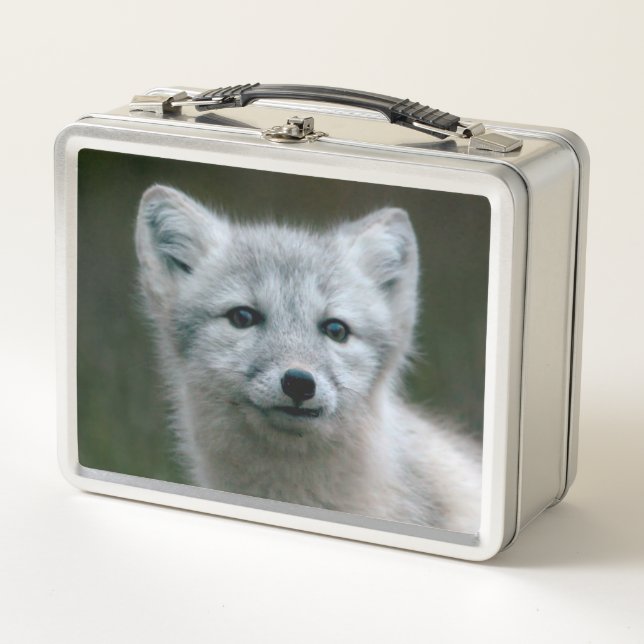 Lunch Box Kit de Fox arctique des images | de Getty (Devant)