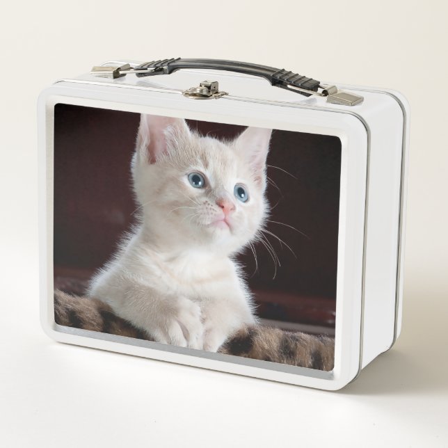 Lunch Box Kitten blanc vulnérable (Devant)