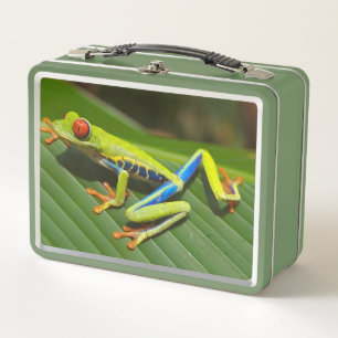 Lunch Box La grenouille longue