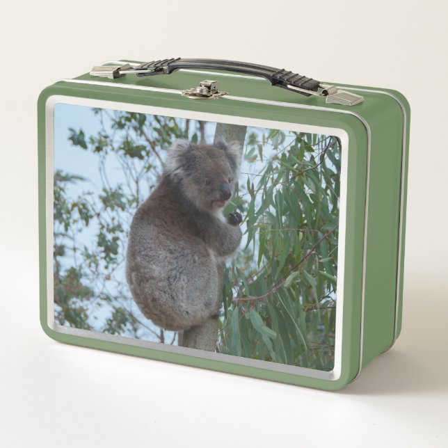 Lunch Box La petite Koala dans un arbre qui mange vert (Devant)
