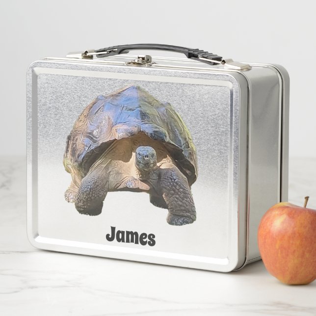 Lunch Box La sage vieille Tortoise (En situation)