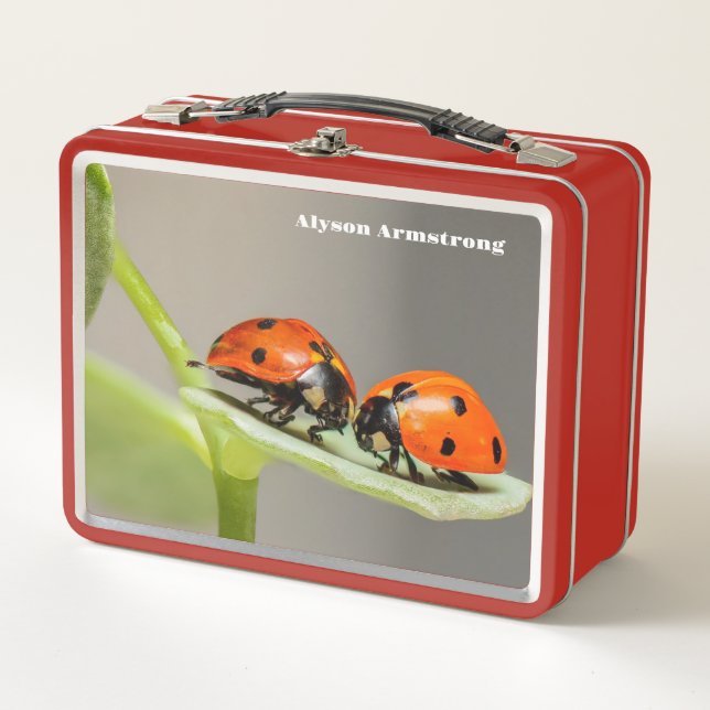 Lunch Box Lady Bugs (Devant)