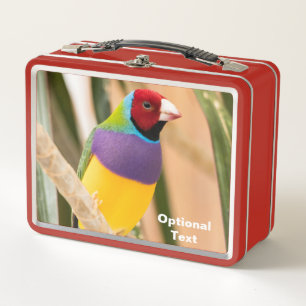 Lunch Box Lady Gouldian Finch
