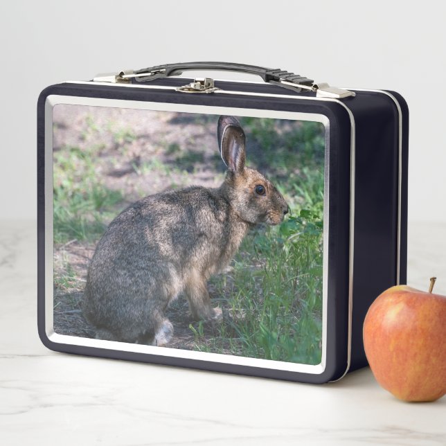 Lunch Box Lapin Brown, Repos dans la nature (En situation)
