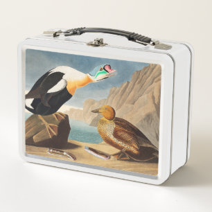 Lunch Box Le canard du roi Eider des oiseaux d'Amérique (Au