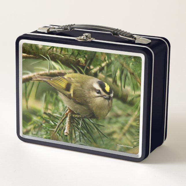 Lunch Box Le mignon oiseau chanteur Kinglet provoque un remu (Devant)
