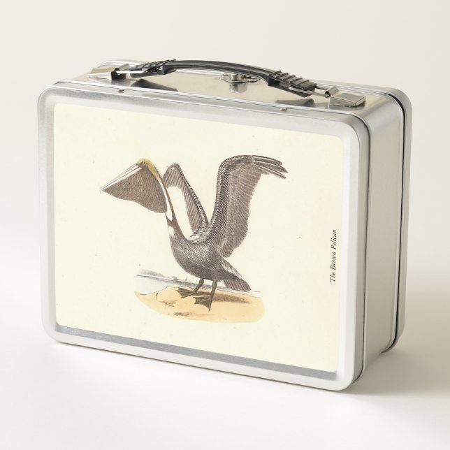 Lunch Box Le pélican Brown (Pelecanus occidentalis) NY Bird (Dos)