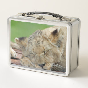 Lunch Box Lion 014