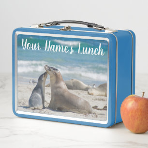 Lunch Box Lion de mer australien et bébé sur la plage