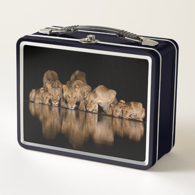 Lunch Box Lion Pride Drinks at the Water Hole at Night (Devant)