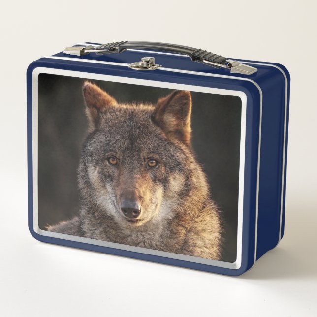 Lunch Box Loup solitaire (Devant)