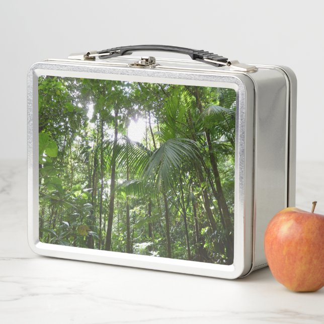 Lunch Box Lumière du soleil à travers la canopée de la forêt (En situation)