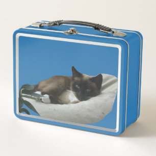 Lunch Box Lunette de chats siamois