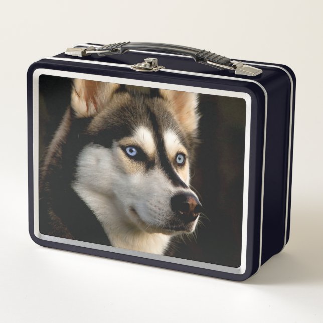 Lunch Box Magnifique Coussin de Lancement Husky (Devant)
