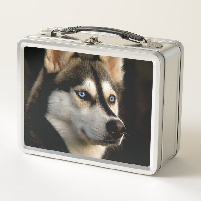 Lunch Box Magnifique Coussin de Lancement Husky (Devant)