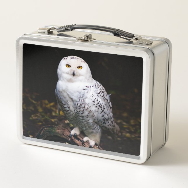 Lunch Box Magnifique harfang des neiges d'hiver (Devant)