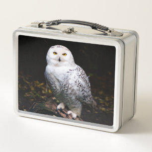 Lunch Box Magnifique harfang des neiges d'hiver