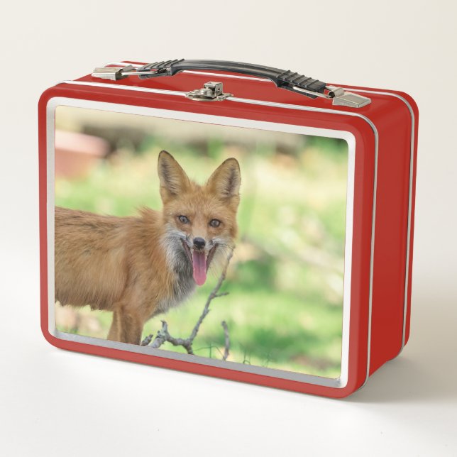 Lunch Box Mama Fox dans la vallée de l'Hudson (Devant)