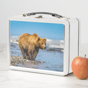 Lunch Box Maman ours regarde ses deux enfants
