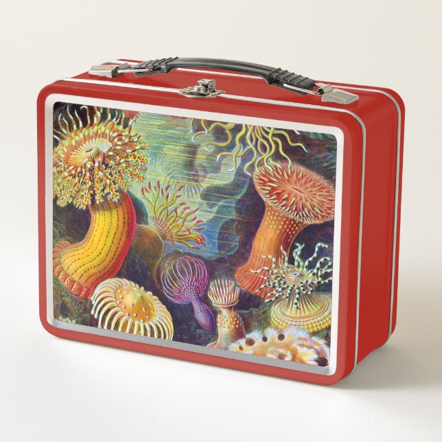 Lunch Box Marine d'actinies d'Ernst Haeckel : Actiniae (Devant)