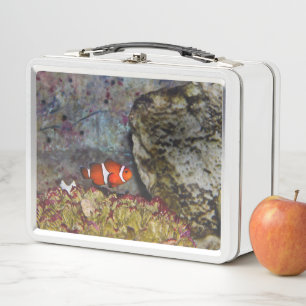 Lunch Box Maritime Clownfish Swims Près Du Jardin De Corail