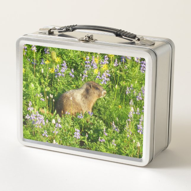 Lunch Box Marmot in Mount Rainier Wildflowers (Devant)