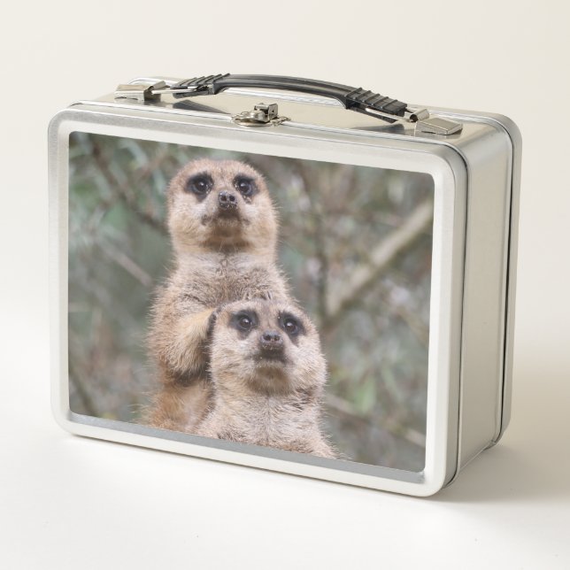 Lunch Box Meerkat_002_by_JAMFoto (Devant)