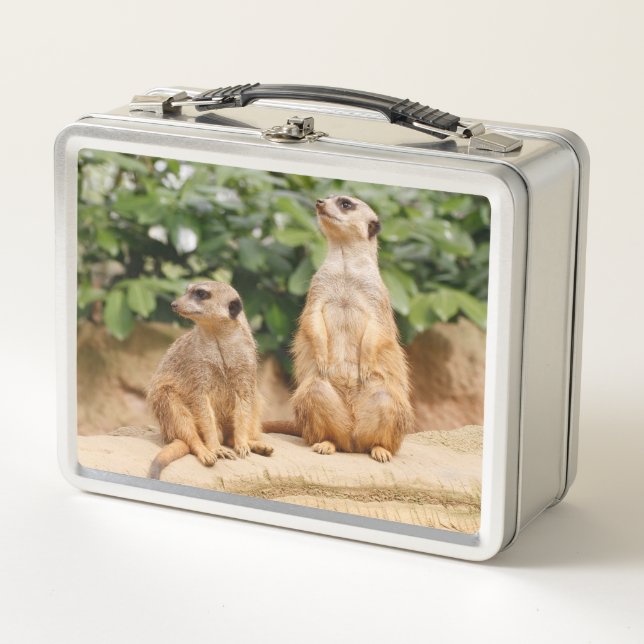 Lunch Box Meerkat 009 (Devant)