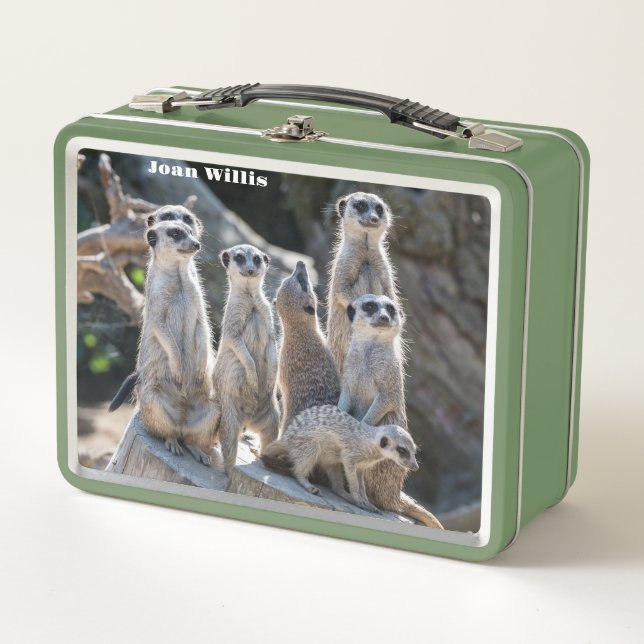 Lunch Box Meerkats (Devant)