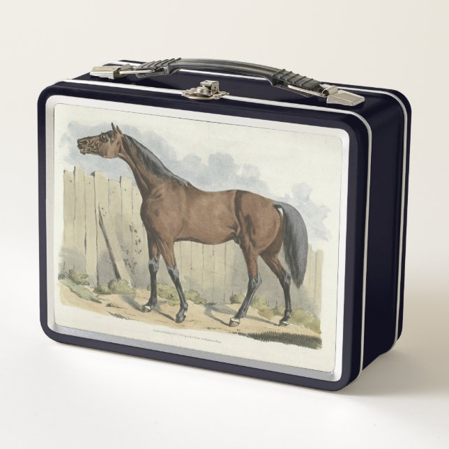 Lunch Box mignonette amateurs de chevaux vintages (Devant)