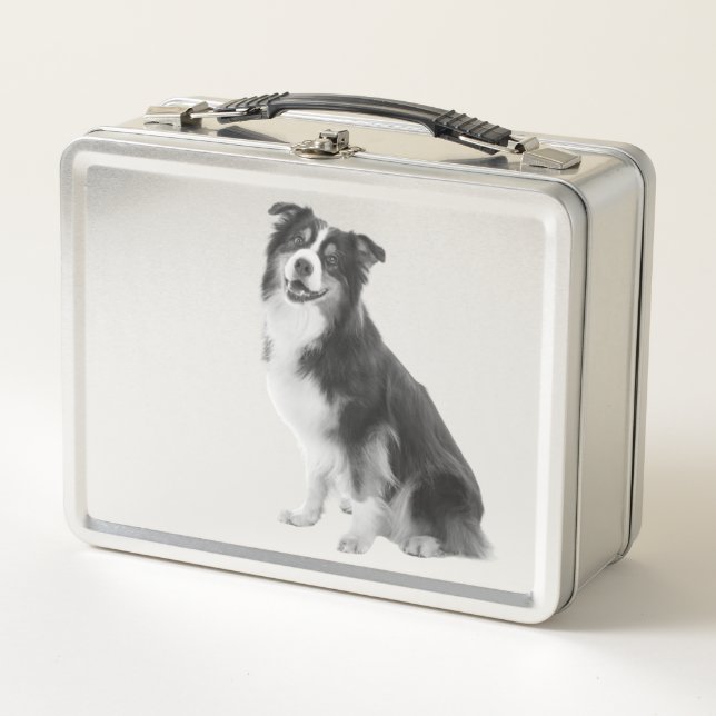 Lunch Box Motif australian Shepherd (Devant)