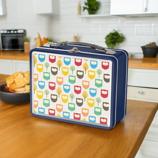 Lunch Box Motif de hibou multicolore (lunchbox)